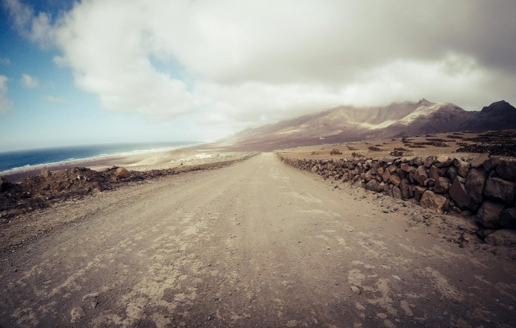 Accelerating brand decision-making to strengthen market leadership