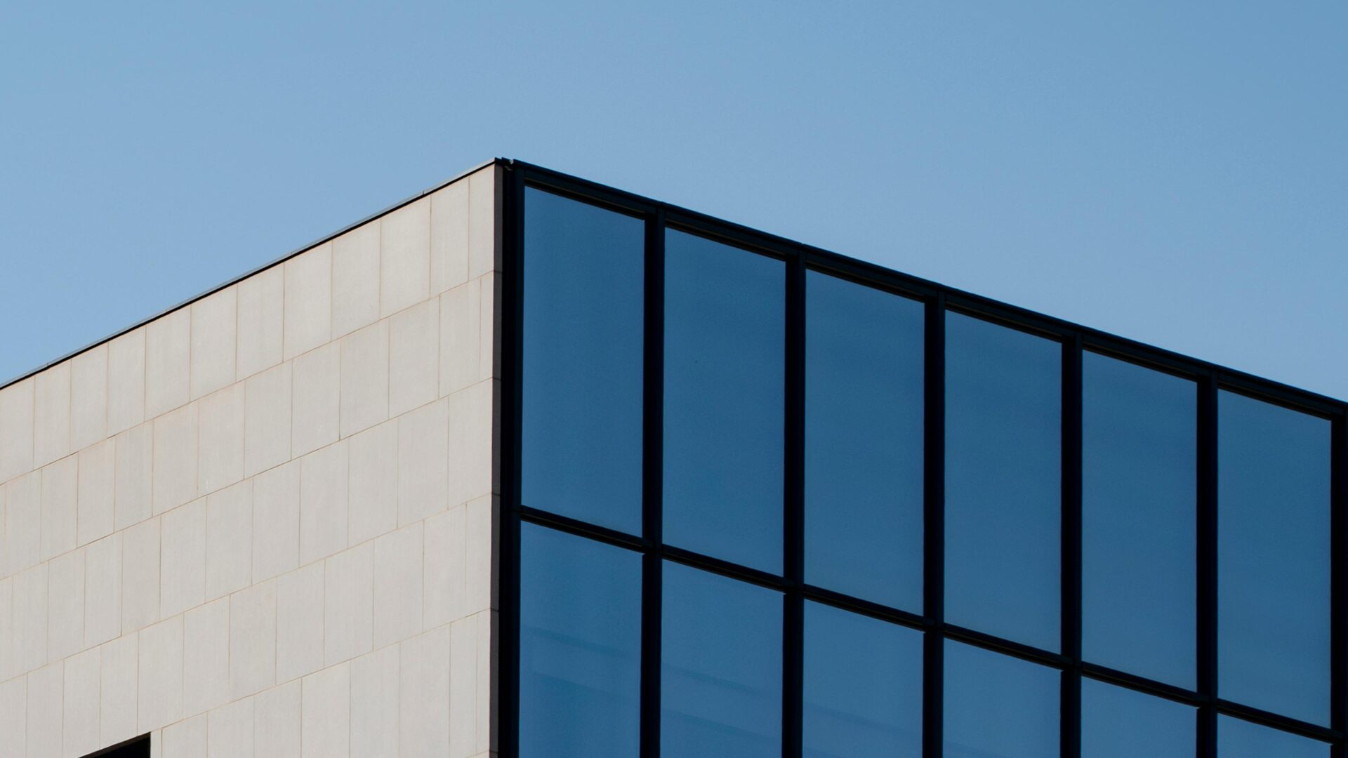 Building a global launch tracker to guide real-time investment decisions