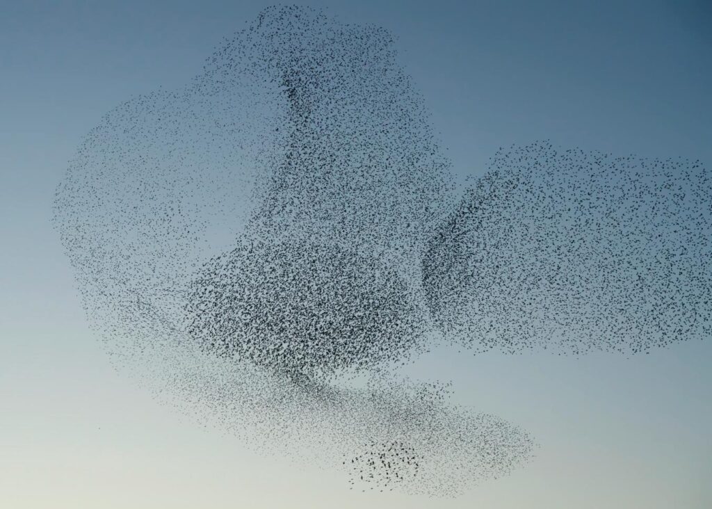 The future of market research is data triangulation