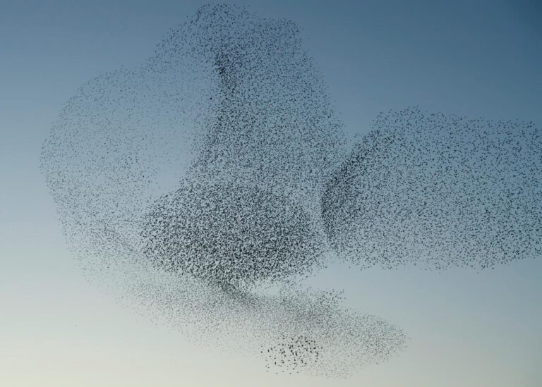 The future of market research is data triangulation